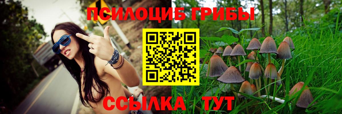 Псилоцибиновые грибы Psilocybe Балашов