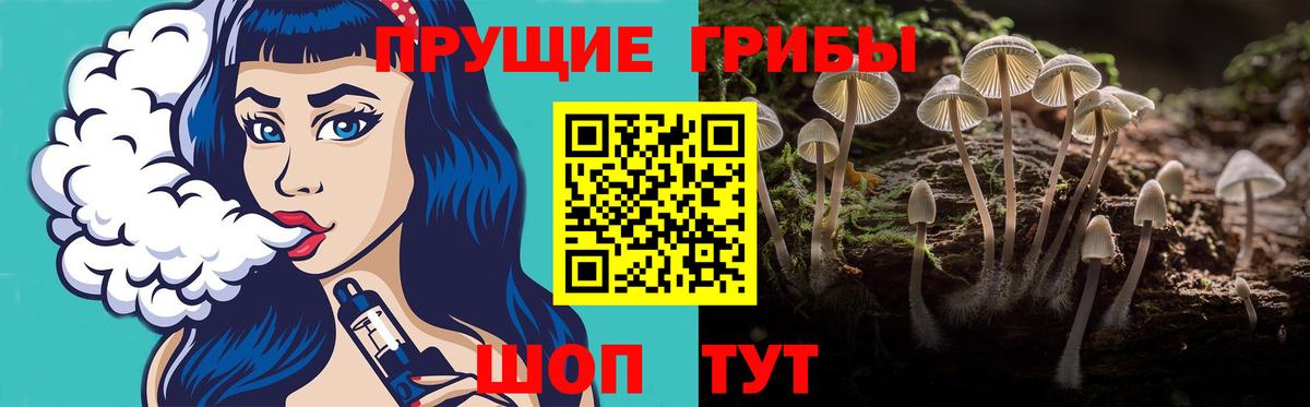 Балашов  Галлюциногенные грибы мицелий  Вход с VPN 