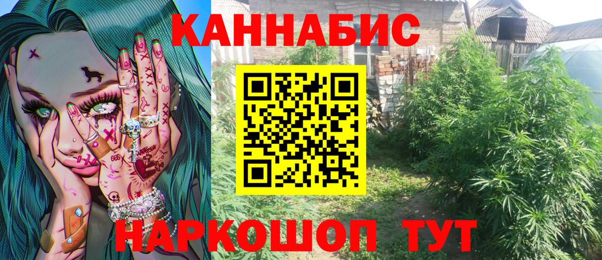 Шишки марихуана сатива  Вход с VPN  МАРИХУАНА THC 21%  Балашов  Конопля Ganja 